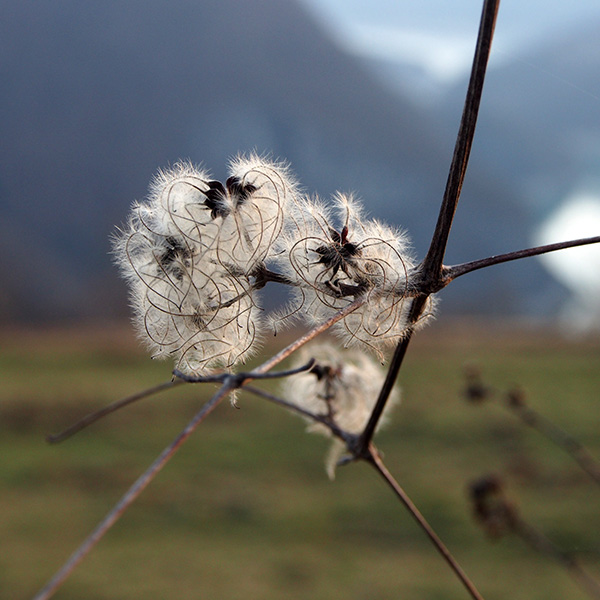 © Tim Catinat, all right reserved