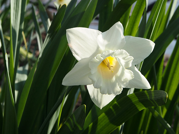 © Tim Catinat, all right reserved