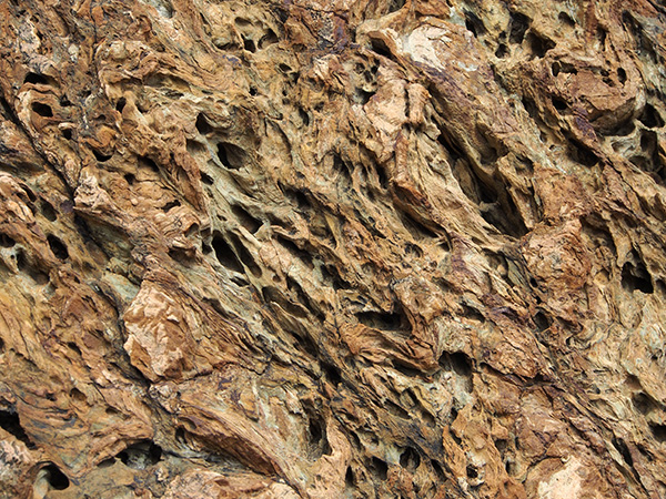 © Tim Catinat, all right reserved