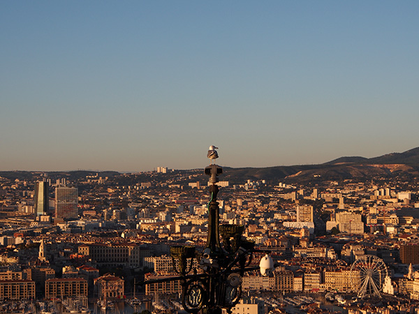 © Tim Catinat, all right reserved