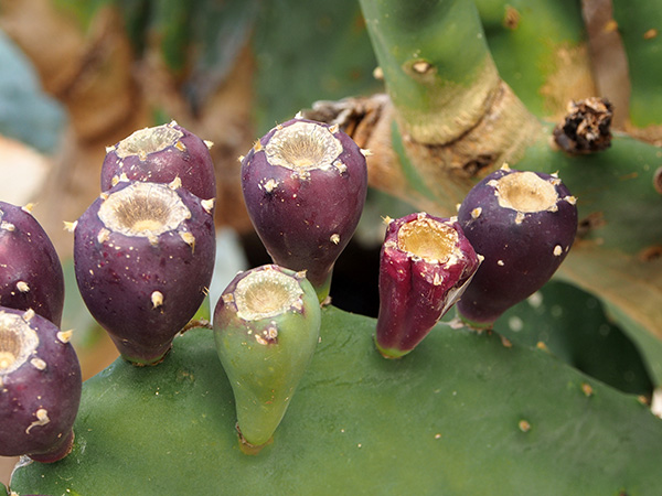 © Tim Catinat, all right reserved