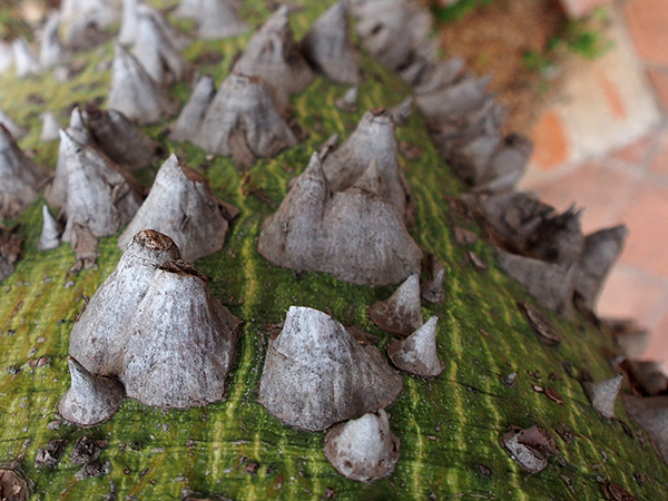 © Tim Catinat, all right reserved