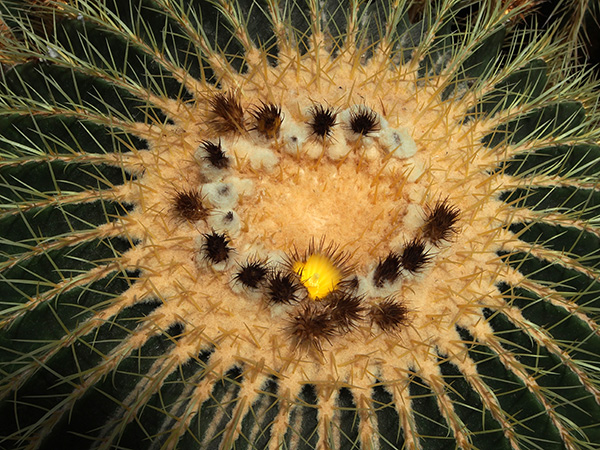 © Tim Catinat, all right reserved