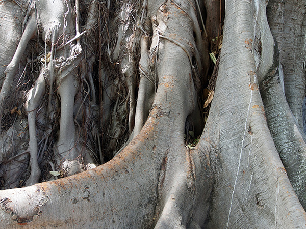 © Tim Catinat, all right reserved