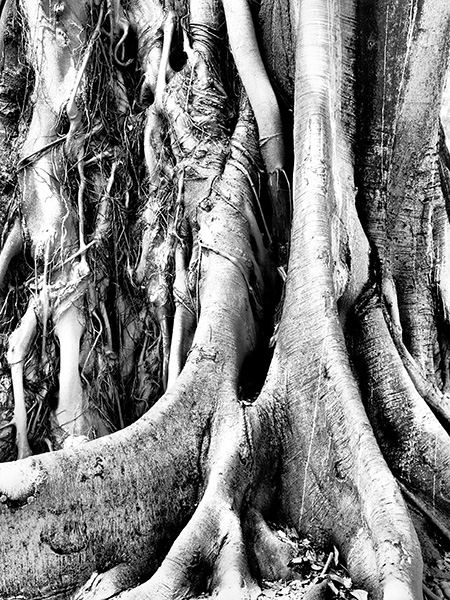 © Tim Catinat, all right reserved