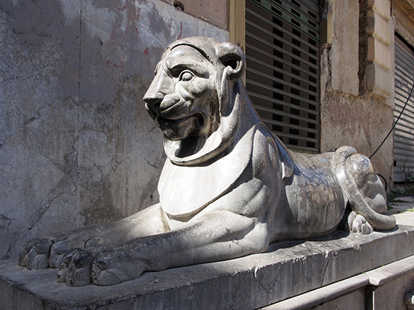 © Tim Catinat, all right reserved