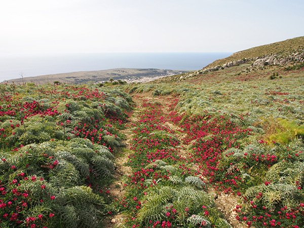 © Tim Catinat, all right reserved