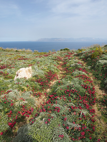 © Tim Catinat, all right reserved