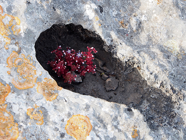 © Tim Catinat, all right reserved