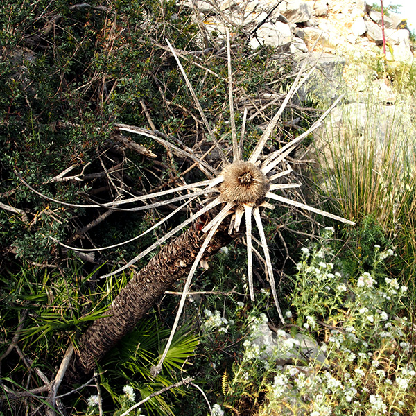 © Tim Catinat, all right reserved