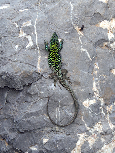 © Tim Catinat, all right reserved