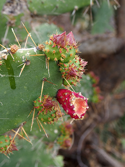 © Tim Catinat, all right reserved