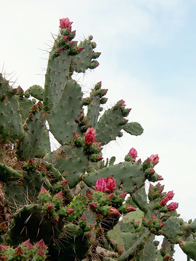 © Tim Catinat, all right reserved