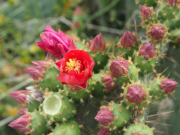 © Tim Catinat, all right reserved