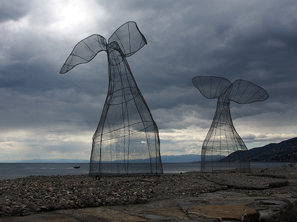 © Tim Catinat, all right reserved