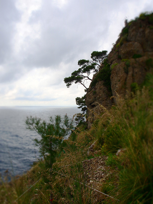 © Tim Catinat, all right reserved