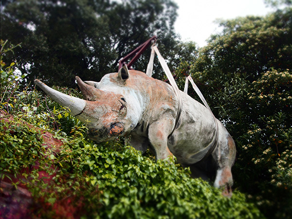 © Tim Catinat, all right reserved