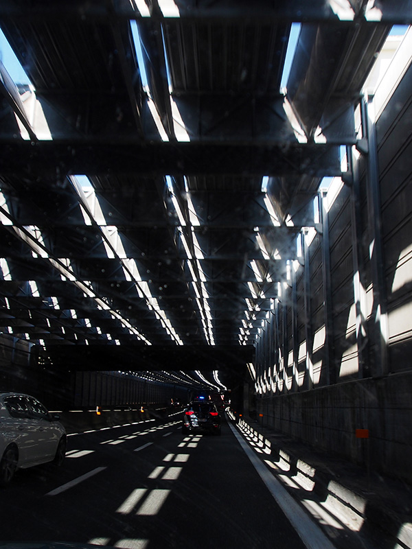 © Tim Catinat, all right reserved