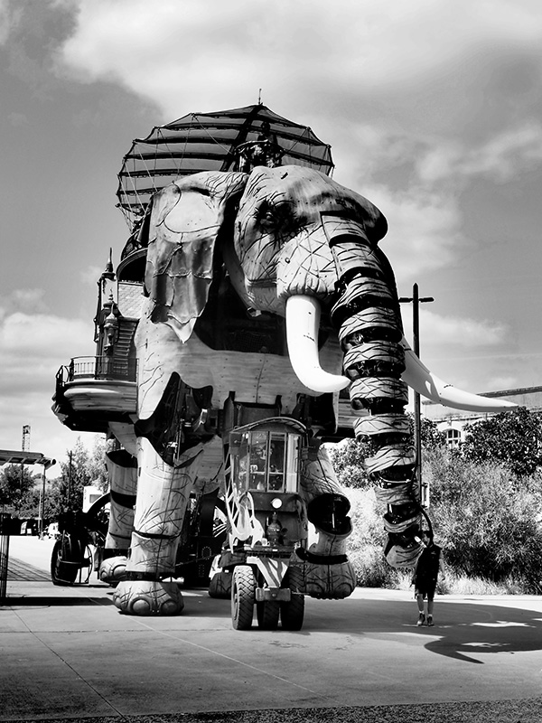 © Tim Catinat, all right reserved