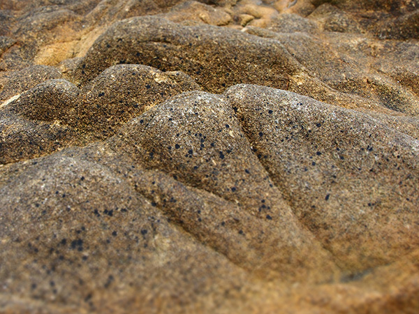 © Tim Catinat, all right reserved