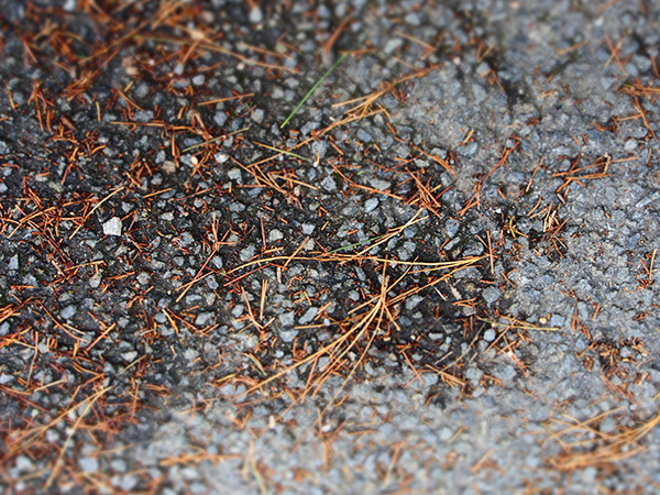 © Tim Catinat, all right reserved