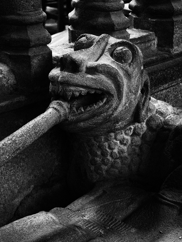 © Tim Catinat, all right reserved