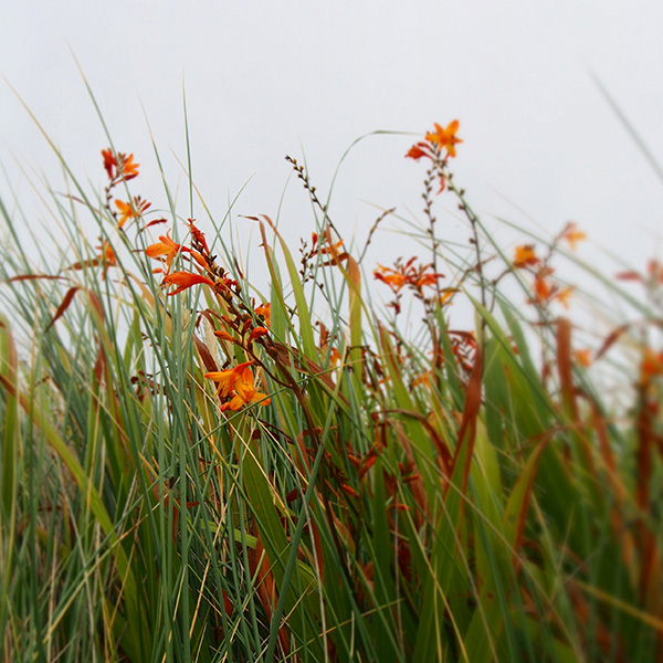 © Tim Catinat, all right reserved