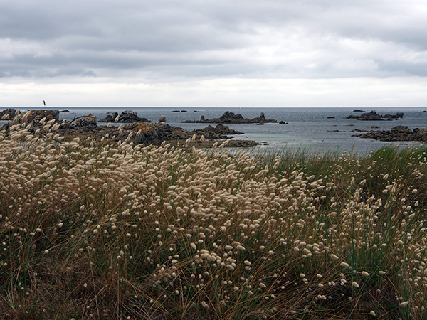 © Tim Catinat, all right reserved