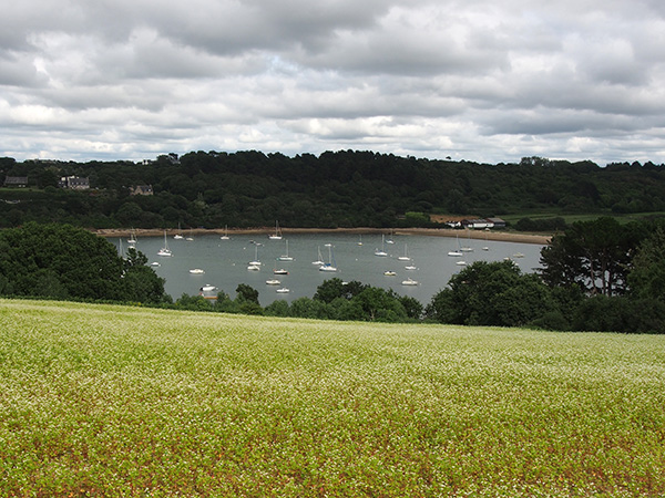 © Tim Catinat, all right reserved