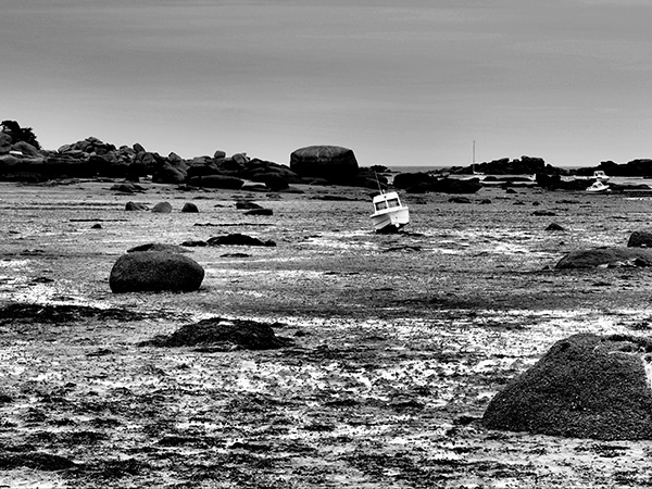 © Tim Catinat, all right reserved