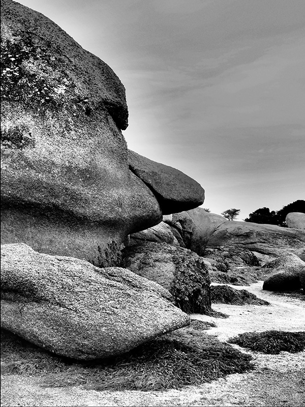 © Tim Catinat, all right reserved