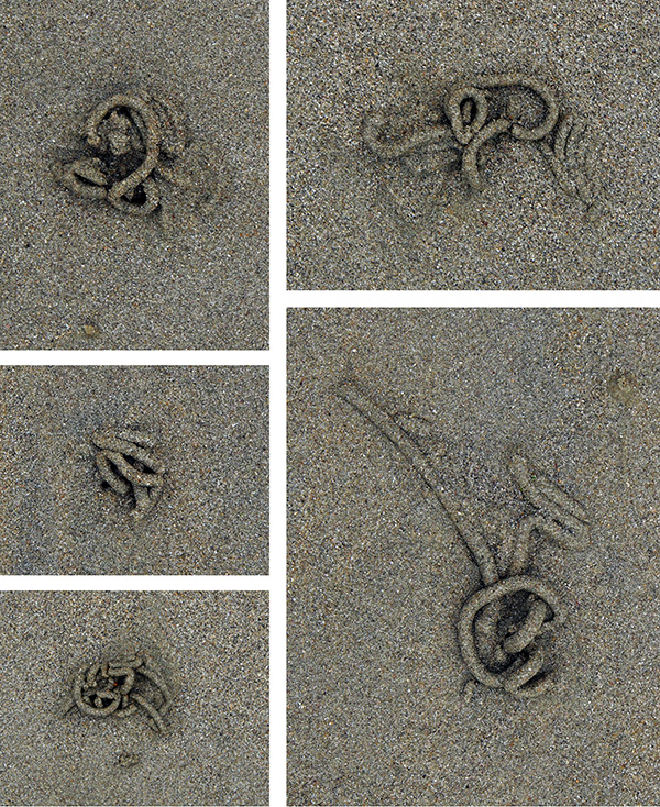 Signatures - © Tim Catinat, all right reserved