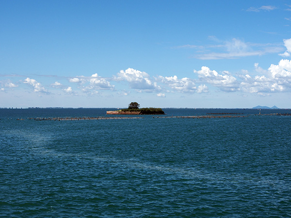 © Tim Catinat, all right reserved