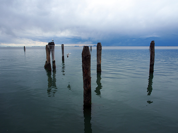 © Tim Catinat, all right reserved