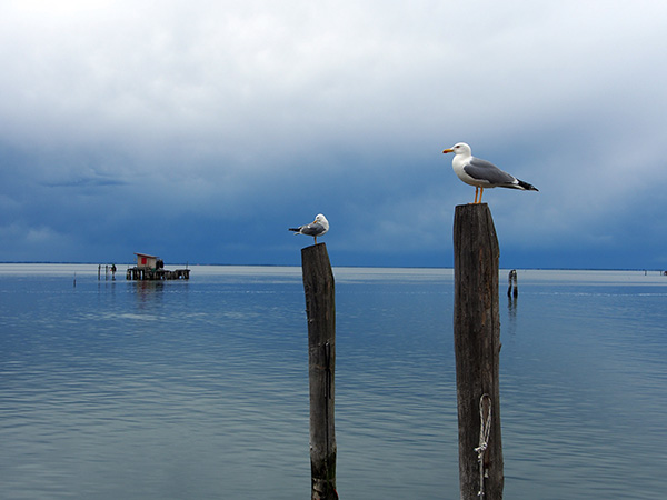 © Tim Catinat, all right reserved