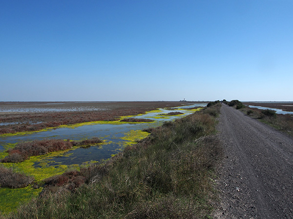 © Tim Catinat, all right reserved