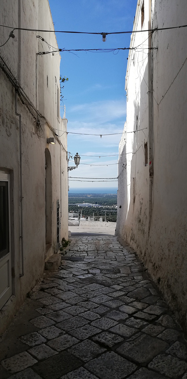 © Tim Catinat, all right reserved