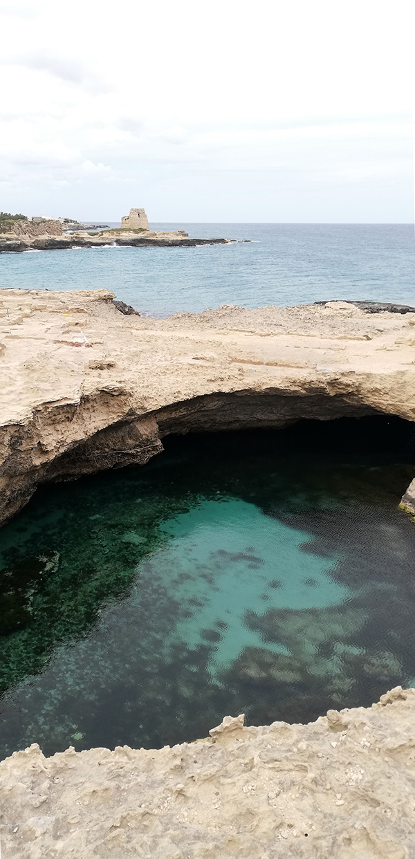 © Tim Catinat, all right reserved