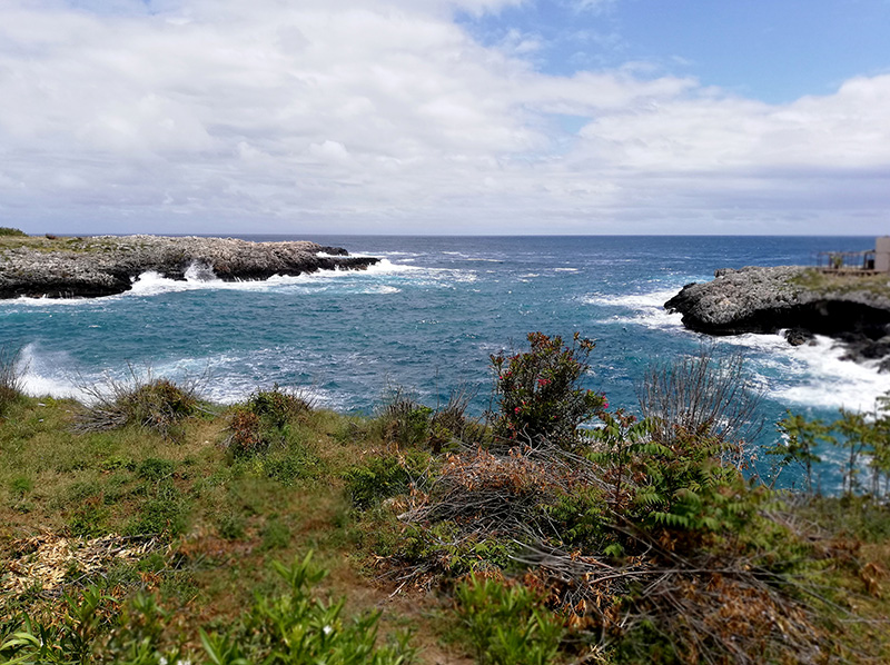 © Tim Catinat, all right reserved