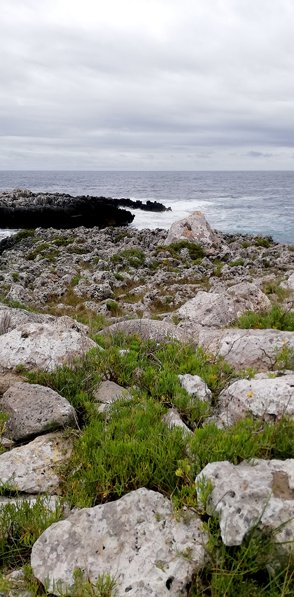 © Tim Catinat, all right reserved