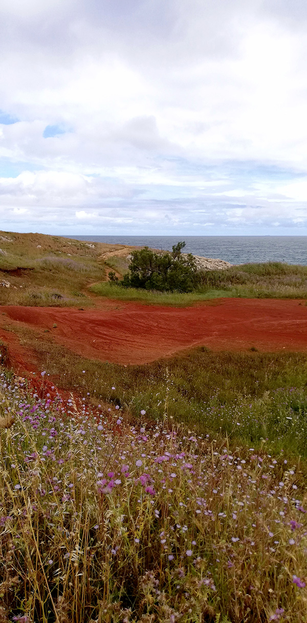 © Tim Catinat, all right reserved