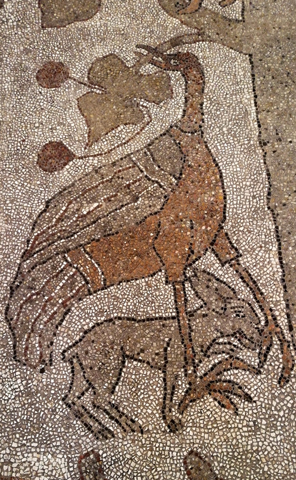 © Tim Catinat, all right reserved