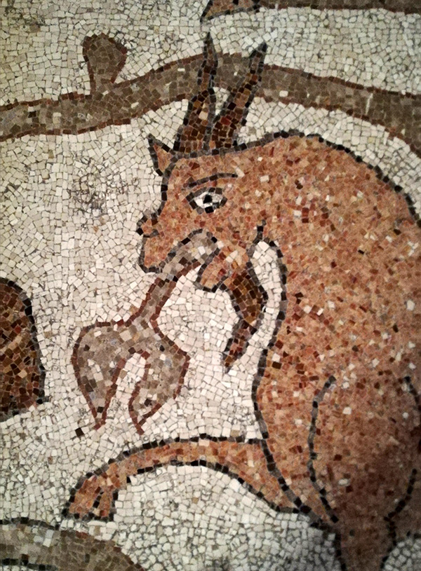 © Tim Catinat, all right reserved