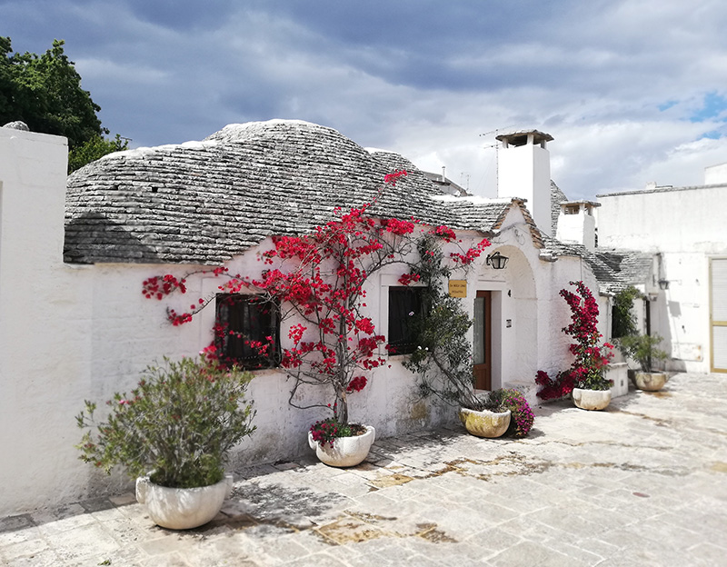 © Tim Catinat, all right reserved