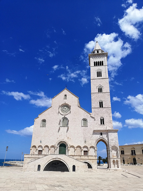 © Tim Catinat, all right reserved