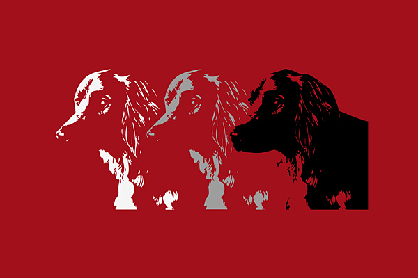 © Tim Catinat, all right reserved