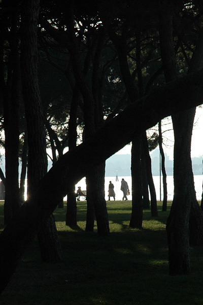 © Tim Catinat, all right reserved