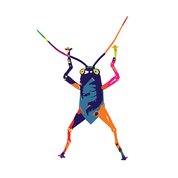 © Tim Catinat, all right reserved