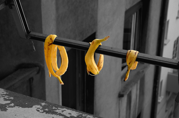 © Tim Catinat, all right reserved