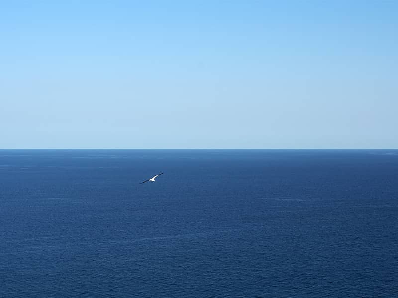 18:23:44 - © Tim Catinat, all right reserved